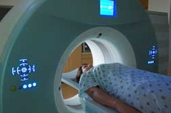 Nanticoke Health Services